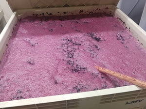 Fermentation at La Mesa Vineyards