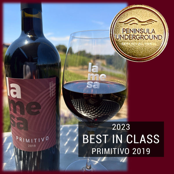 Primitivo 2019 - Wine-Red