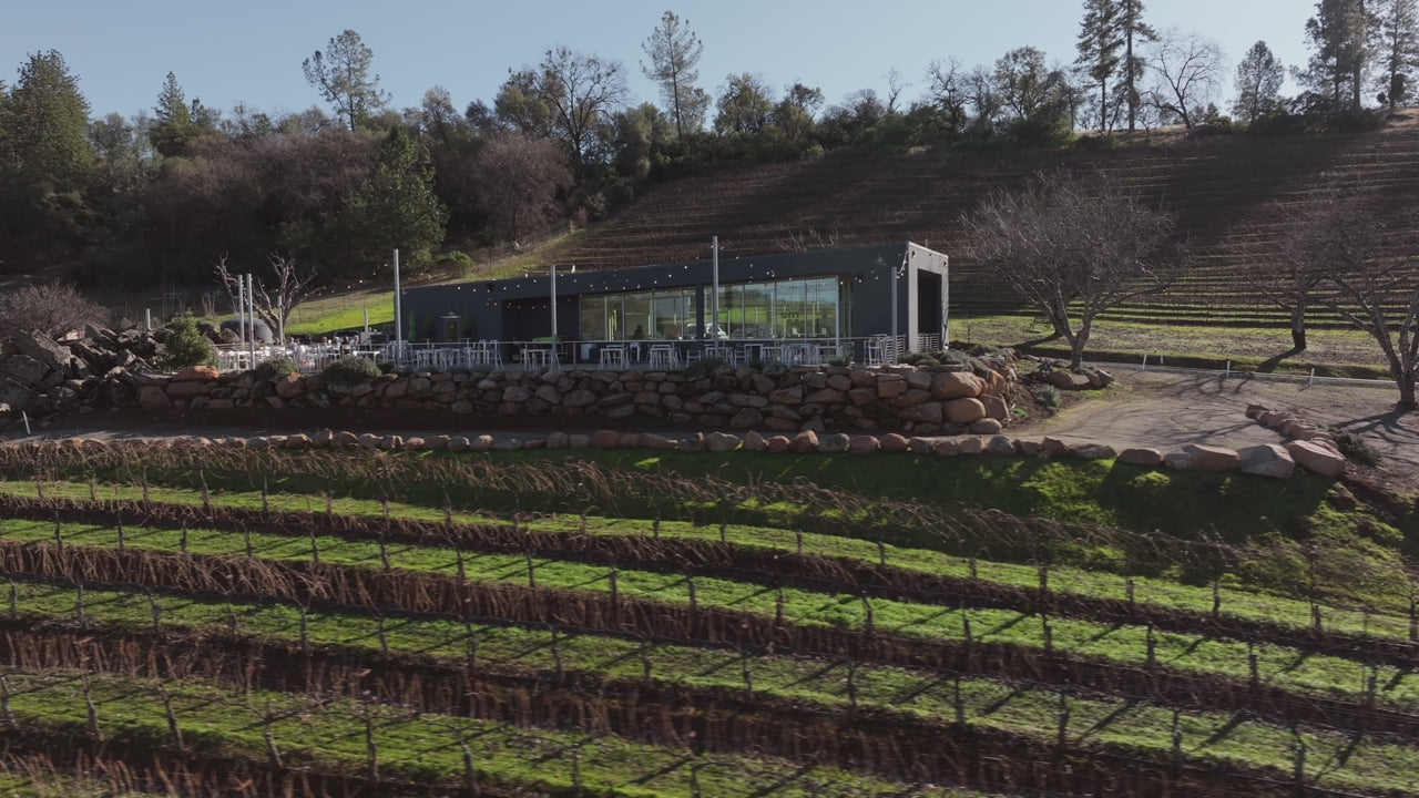 La Mesa Vineyards - Quick Tour