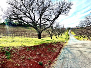 Appetite for Wine: A Tasting Room with a View