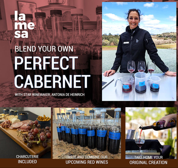 Blend Your Own Perfect Cabernet with Antonia