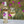 Primitivo Blanc 2025 with blurred flowers behind