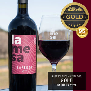 Barbera 2020 - Wine-Red