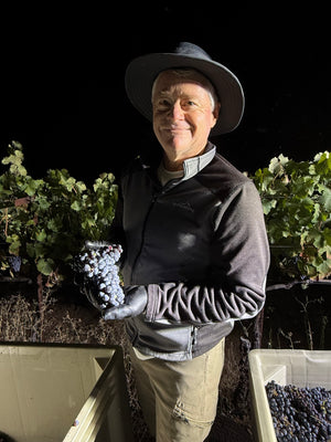 Côme takes a break from leafing during a pre-sunrise harvest pick of estate Syrah.
