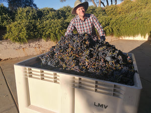 2018 Harvest at La Mesa 