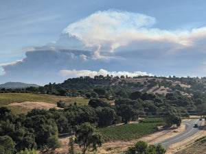 Sustainability Practices at La Mesa Vineyards