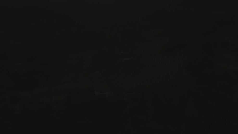 La Mesa homepage video
