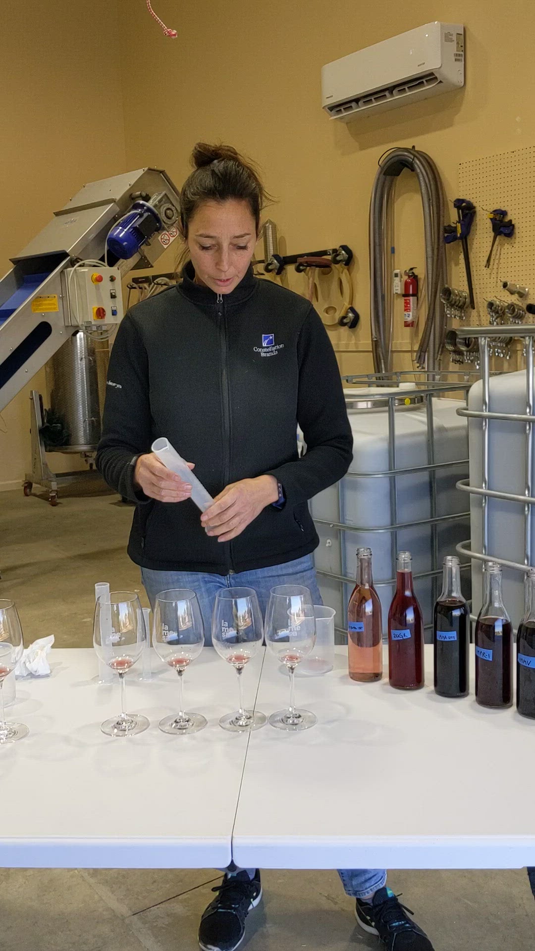 Blending trial for the Primabera with different combinations of Primitivo and Barbera.