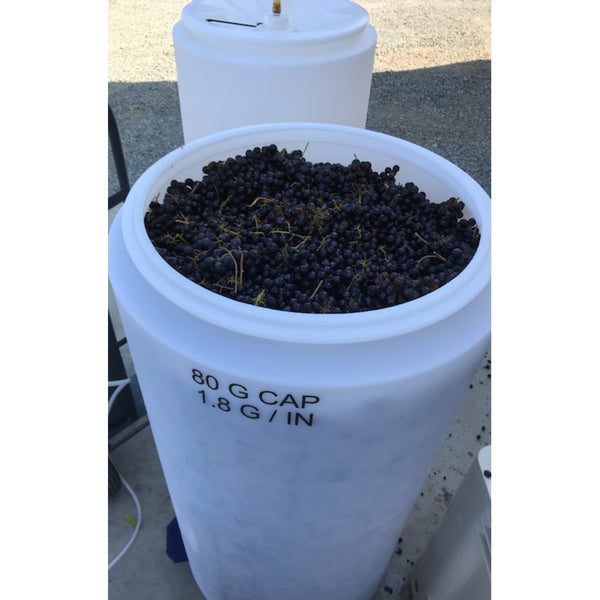 The Gamay grapes are placed whole cluster into tanks that will be sealed and fermented on their own with natural vineyard yeast.