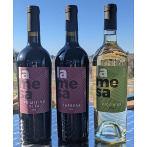 Wine Tasting Experience + Bottle of Wine Gift