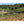 Primitivo vineyard in the foreground, vines planted "head trained". 