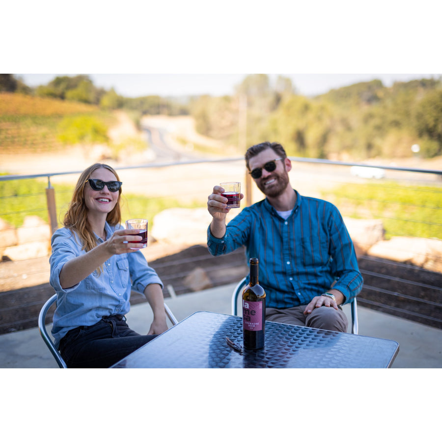 Wine Tasting Experience for up to 2 + a Bottle of Wine Gift
